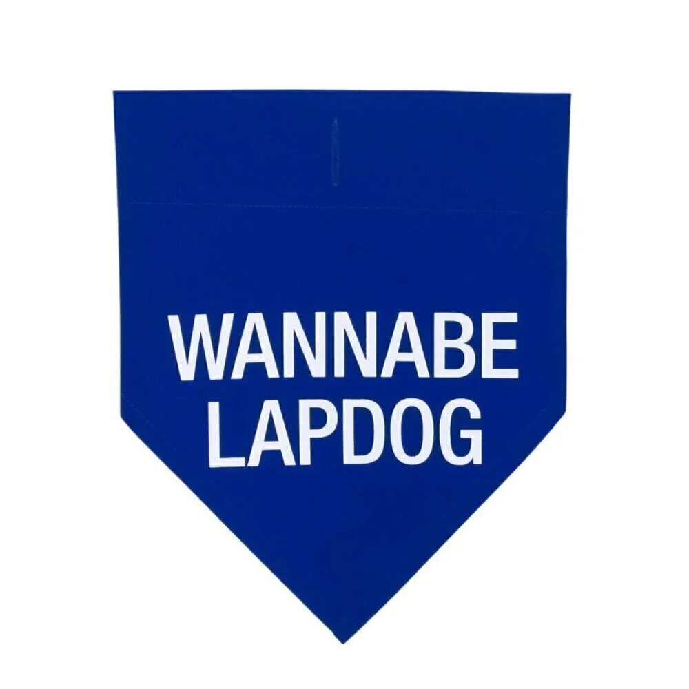 Nordstrom Cute Puppy Dog Bandana Blue Wannabe Lap Dog Gifts